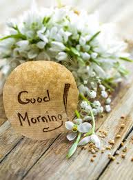 Flower beautiful good morning images. A Bunch Of Beautiful Delicate Snowdrops And The Words Good Morning Stock Photo Picture And Royalty Free Image Image 73669773