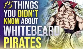 Weevil Is Actually Whitebeard'S Son, This Will Be Revealed Next Time We See  Him Because His Fight With Greenbull Would Make Him Skinny. Classic Oda Gag  : R/Piratefolk