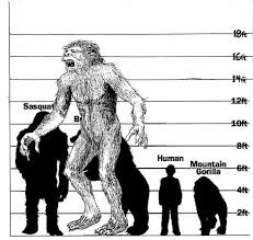 A Size Chart Depicting A Cryptid Thats Just Now Getting