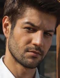 Serhat teoman and amine gülşe, 2. Who Is Leyla Feray Dating Leyla Feray Boyfriend Husband