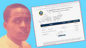 How To View Zimsec Results Online 2019 By Goodson Tauya Chinhoyi 2 High Youtube