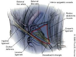 Nerve pain in the groin and inner thigh can be caused from thigh nerve issue (meralgia paresthetica). Surgical Options In The Management Of Groin Hernias American Family Physician
