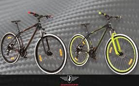 Zundapp Mountainbike 29 Zoll Mtb Hardtail Fahrrad Primal Oder Flyte 24 Gang 29 Flyte Amazon De Sport Freizeit