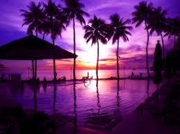 Purple red sunset and beautiful ocean sunset beach item # 2528560 eszra tanner. Beautiful Beaches Purple Sunset Beach Wallpaper Novocom Top