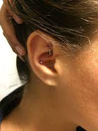 Pin By Clare Flanagan On Ear Piercings Rook Piercing Jewelry Ear Piercings Rook Earings Piercings