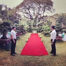 By jeanne grunert master gardener. Photos At Up Bonsai Garden Quezon City District 4 1 Tip