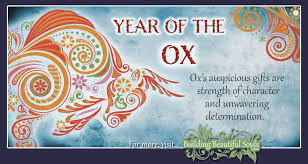 As chinese zodiac is calculated by the chinese lunar calendar and it does not completely accord with your birthdays in the solar calendar. Chinese Zodiac Ox Year Of The Ox Chinese Zodiac Signs Meanings