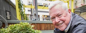 The trees have arrived!