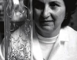 IOWA SEED & BIOSAFETY