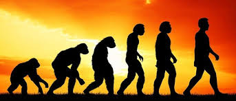 Timeline of Human Evolution — Steemit