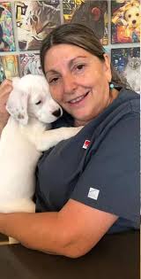 VCA Boone would like to show...