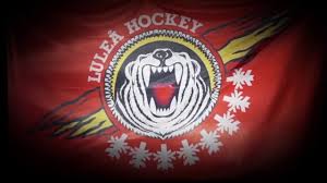 Kommentera du måste logga in för att kommentera. Baboon Show Lulea Hockey By Arpe666