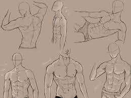Insect report chart printout a chart to help with an insect report with areas to fill in the insect's common name, scientific name, anatomy, lifecycle, diet, enemies, protection, habitat, range, classification, endangered status, interesting facts, and a drawing of the insect. Male Anatomy Practice By Kingmaria On Deviantart Guy Drawing Male Figure Drawing Body Sketches