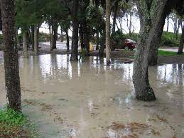 A short walk up cabin road, you'll find access to the edisto beach state park trails, the state's longest system of wheelchair accessible hiking and biking trails. Landscape Picture Of Edisto Beach State Park Campground Edisto Island Tripadvisor