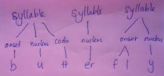 In english language there are 26 alphabets and they are divided into 5 vowels a, e, i, o, u and remaining 21 alphabets are . The Difference Between Consonants And Vowels Spelfabet