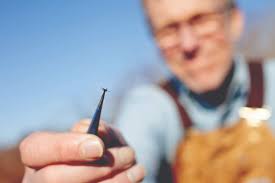 Ticks: They're not just for hikers anymore