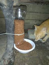 Street Cat Food Dispenser Feeder Diy Diy Cat Food Cat Feeder Diy Dog Feeder