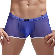 Jack Smith Men S Low Rise See Through Underwear Boxer Briefs Blue L Buy Online In Guernsey At Desertcart 11161616