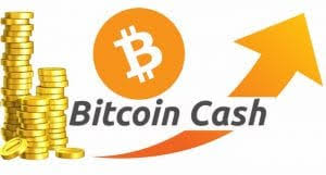 What is the difference between. Bitcoin Cash Price Analysis Bitcoin Cash To Usd Trading Pair Finds A Strong Support At 740 Despite The Temporary Downside Correction Bch Price Prediction Bch Price Analysis Bch Price