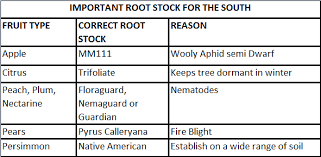 Choosing The Right Fruit Tree Variety Just Fruits And Exotics