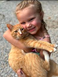 A very busy day for Paws In Oz Inc.