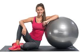 The 5 Best Exercise Balls 2020 Reviews Guide Best