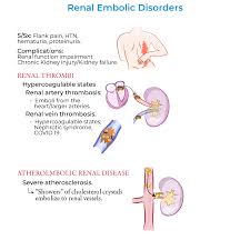 Image result for Renal Function