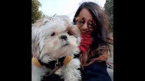 It's part of the black country and within the wider west midlands. Wanderers Hub Adopted Dog For A Day Youtube