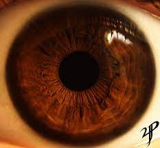 Eyes Are Such A Unique Characteristic That People Have Eyes Range In Different Colors Some That Are Very Common And Rare Eye Colors Dark Brown Eyes Rare Eyes