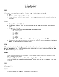 Dna fingerprinting worksheet answer key. Why Is Gel Electrophoresis Called Dna Fingerprinting