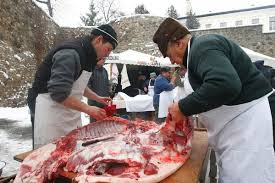 Porci carne de vanzare si purcei carne, din rasele marele alb, mangalita, pietrain, landrace, duroc, cu varste diferite si crescuti in conditii naturale. Cum DeosebeÈti Carnea De Porc Crescut TradiÈional De Cea ProvenitÄ De La Porcul Crescut Intensiv