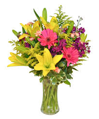 We did not find results for: Albuquerque Florist Flower Delivery Peoples Flowers Gifts