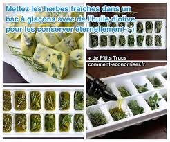 Enfin Une Astuce Pour Conserver Les Herbes Fraiches Eternellement Trucs De Cuisine Recettes De Cuisine Conservation Des Aliments