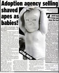 Humor News Tabloids Magazines Funny Headlines Weird News Funny Memes