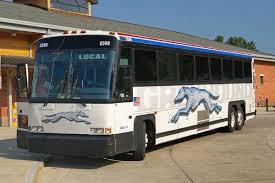 Последние твиты от greyhound bus (@greyhoundbus). Greyhound To End Bus Service In B C Alberta Chilliwack Progress