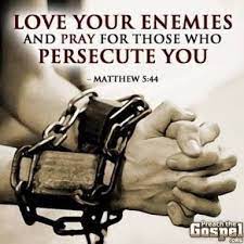 Love without borders and preconditions 7th sunday in ordinary time february 23, 2014. Year A Homily For The 7th Sunday In Ordinary Time 1 Catholic For Life