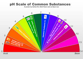 ph scale acids and bases