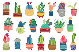20 Succulents Cactus Vector Png 창조적인 식물 그림 선인장