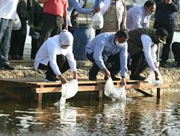 Tanda daftar perusahaan perseroan terbatas (tdp pt). Khofifah Dorong Peningkatan Produksi Ikan Kerapu Dengan Manfaatkan Potensi Pasar Ekspor Bidik Nasional