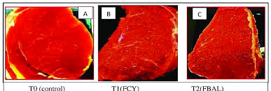 Image result for BALI Score