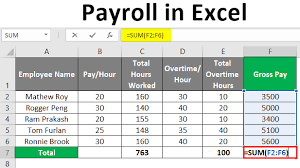 Subtract any deductions and payroll taxes from the gross pay to get net pay. Payroll In Excel How To Create Payroll In Excel With Steps