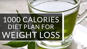 the 1000 calorie diet plan for weight loss