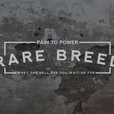 Copyright and stressed free licenses. Stream Hip Hop Beats Instrumental Rare Breed Hard Rap Beat Sold Free Download By Rap Instrumental Listen Online For Free On Soundcloud