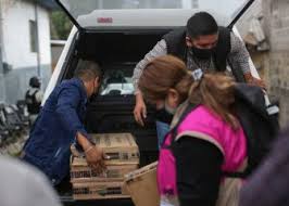 También te puede interesar | 'influencers' realizan proselitismo sincronizado por el partido verde similar al de 'tuiteros' en 2015. Zaaywsjdfiogpm