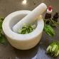 Herbal First Aid Workshop - Bundaberg event image