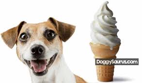 Dogs can eat vanilla ice cream, but it's not recommended that you let them. Is Chocolate Ice Cream Bad For Dogs Www Macj Com Br