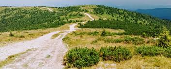 7 zile 10 zile vremea pe hartă. Varful VlÄƒdeasa