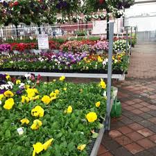We did not find results for: Photos At Sixteen Acres Garden Center Flower Shop In Springfield