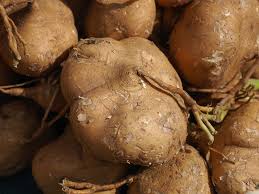 Flip the hash browns and cook for another 5 minutes on the other side. How To Grow Jicama Dengarden