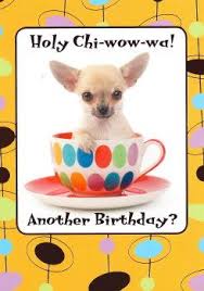 Chihuahua Gifts Note Cards Greeting Cards And Collectibles Happy Birthday Chihuahua Happy Birthday Dog Happy Birthday Cousin